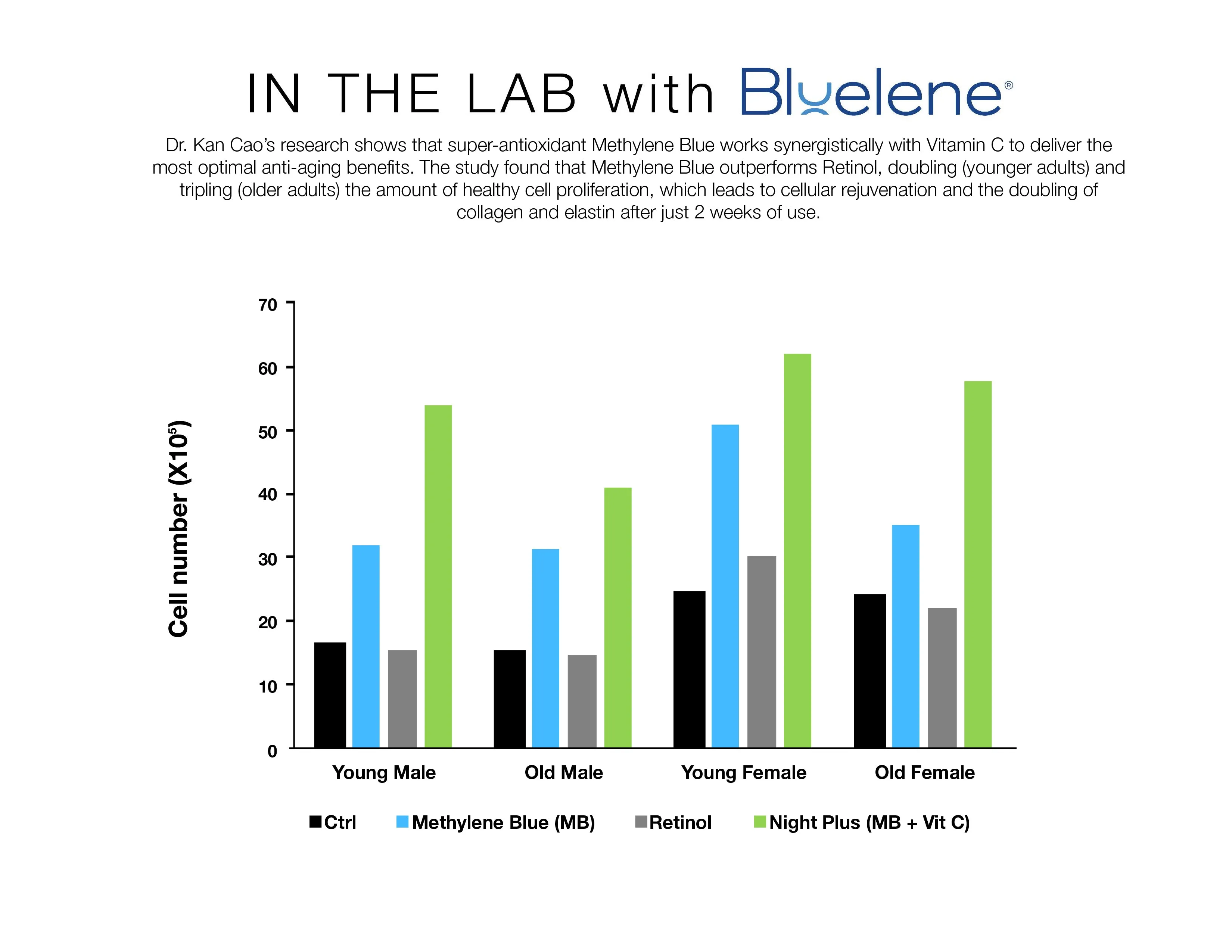 Bluelene Night Cream